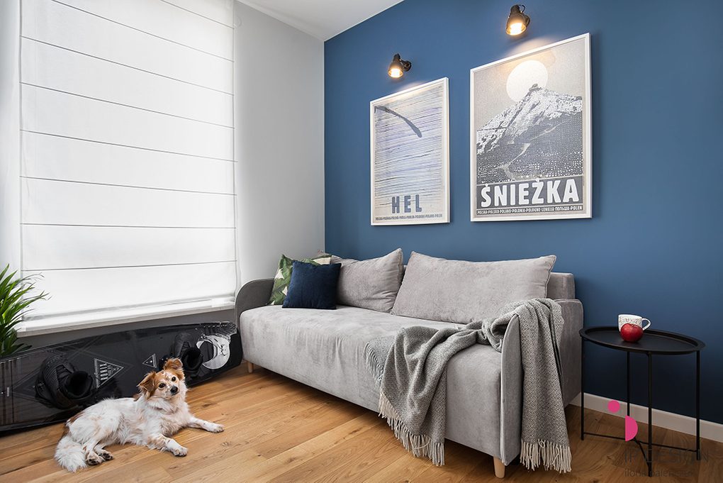 blue wall in living room, grey sofa, big posters on blue wall, white and blue walls in living room, black metal side table
