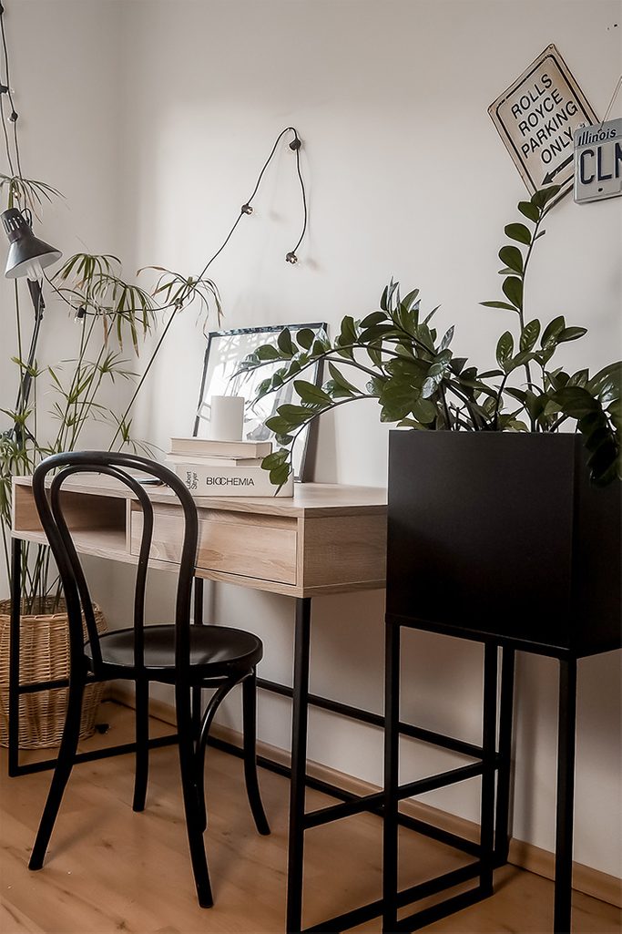 student room decoration, black metal stand for plants, large desk in loft style, vintage bentwood chair, plants in student room, loft style student room