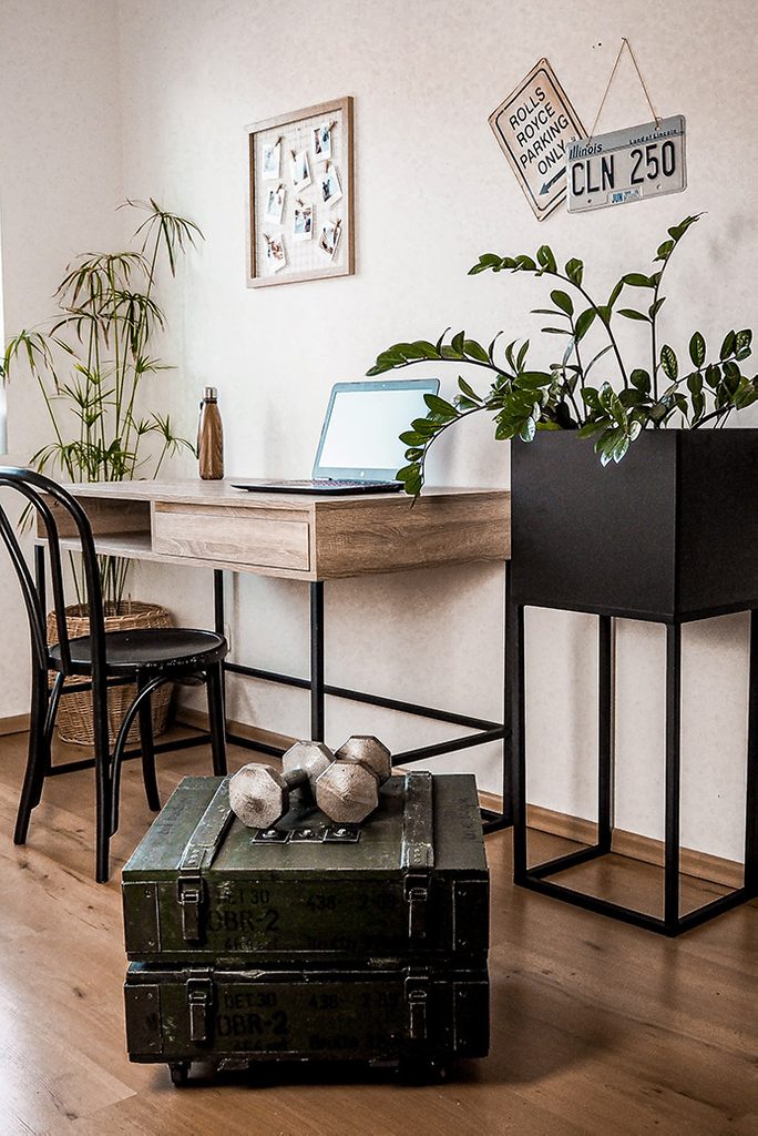 student room decoration, large desk in loft style, metal and wood desk in student room, large metal stand for plant, black bentwood chair, antique military chests as room decoration